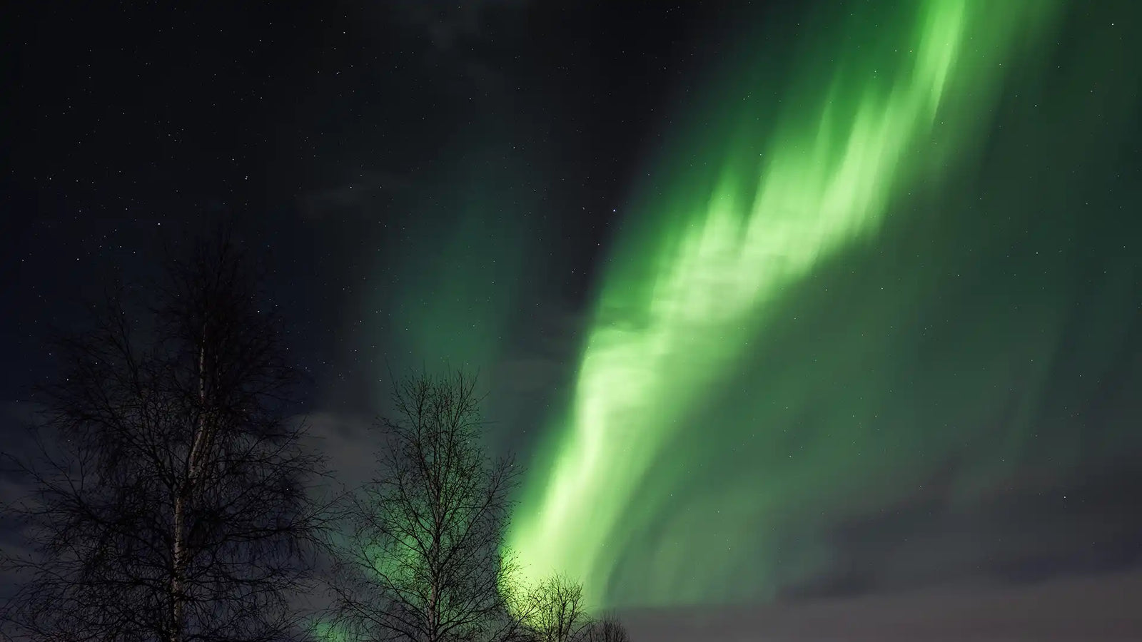 Grüne Polarlichter über einer winterlichen Landschaft in Skandinavien – magische Nächte unter dem Nordlicht